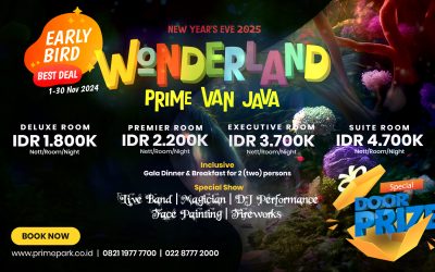 Promo New Year 2024